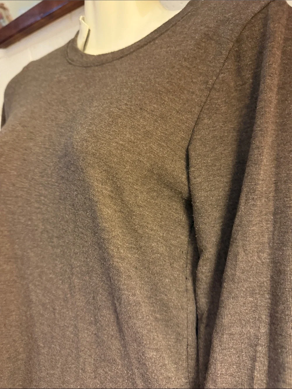 American eagle - Picture 2 of 5